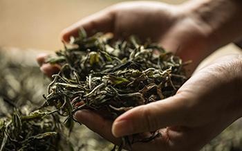 茶叶选择与保管