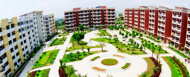 广州松田职业学院2020年招生代码