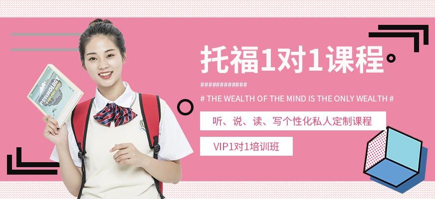 托福VIP1对1培训班