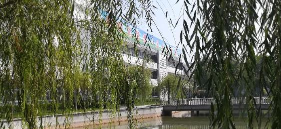 邢台威县中学