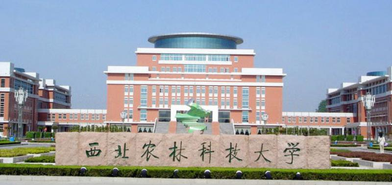 西北农林科技大学分数线及最低位次汇总（2022-2021）