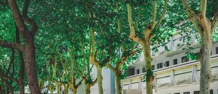 2023南京市第六十六中学多少钱(学费明细)