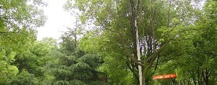 湖北轻工职业技术学院单招报名时间