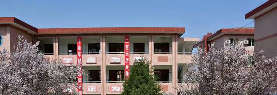 武功县绿野高中2020年招生计划