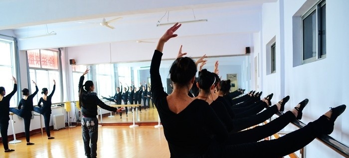 临西县职教中心