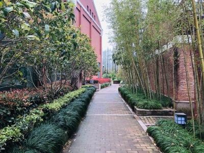 剑桥文理与剑桥艺术学校