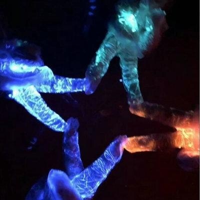 上外立泰A-Level国际高中冬季班迎来新同学加入：Science Lab 