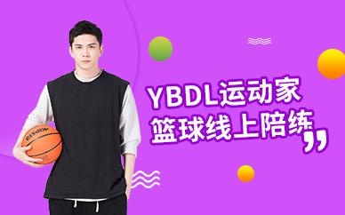 线上陪练课程