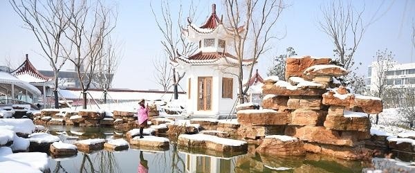 江苏护理职业学院单招2020年单独招生录取分数线