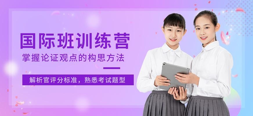 国际班入学试精英训练营