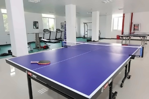 美达菲乒乓球室