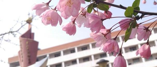湖北现代农业技师学院2