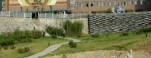 景德镇陶瓷职业技术学院2020年招生办