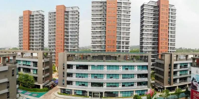 深圳科爱赛国际学校