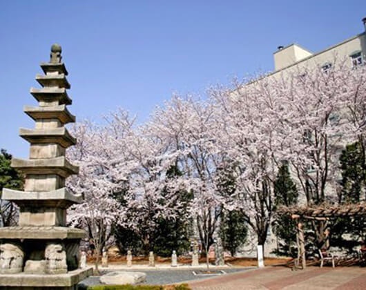庆熙大学