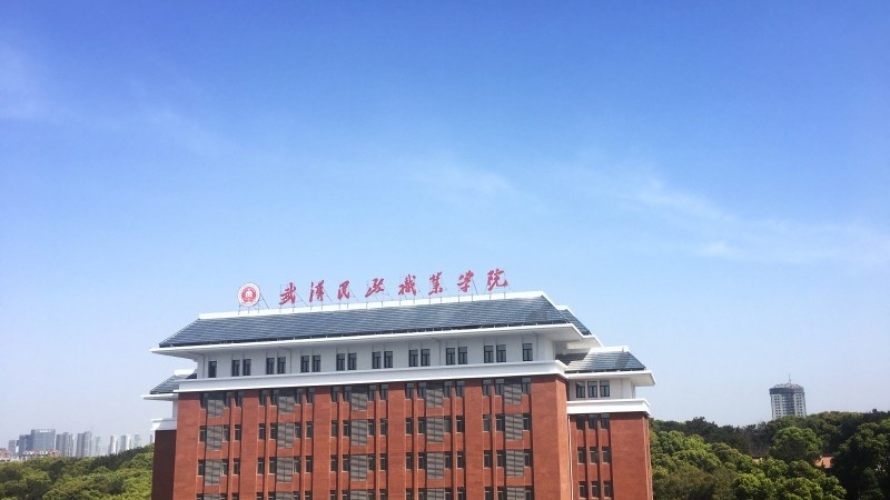 武汉民政职业学院2019年单招录取分数线