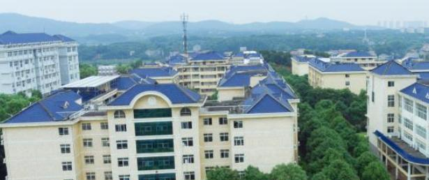 岳阳职业技术学院单独招生历年录取分数线一览表(2023参考)