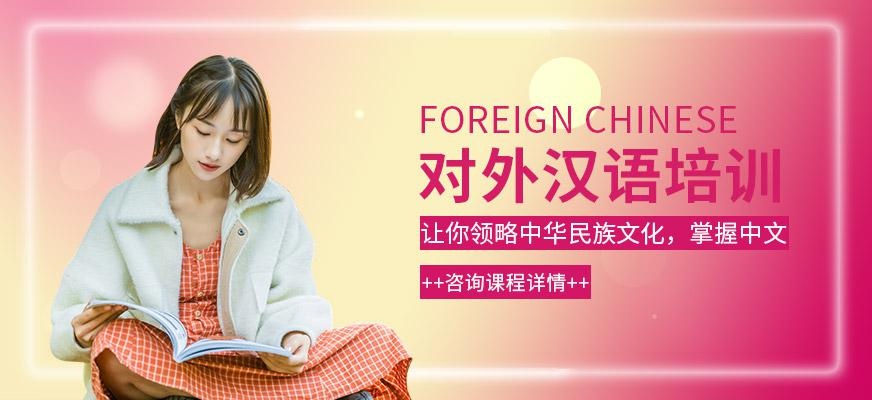 张家港对外汉语培训