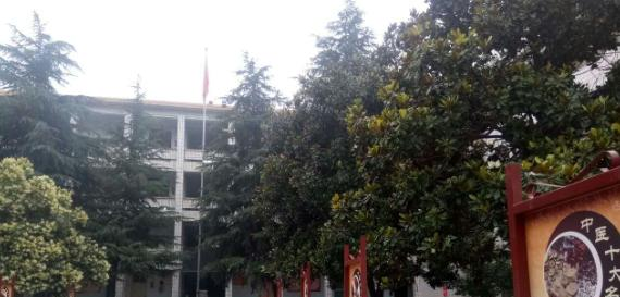 洛阳中医药学校地址在哪里