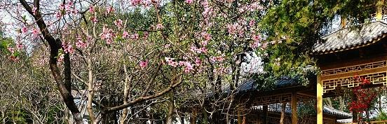 安徽林业职业技术学院2020年报名条件、招生要求、招生对象