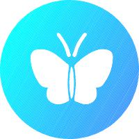 提供技能提升机会
