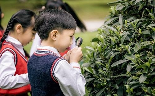 广州市黄埔区中黄外国语实验学校