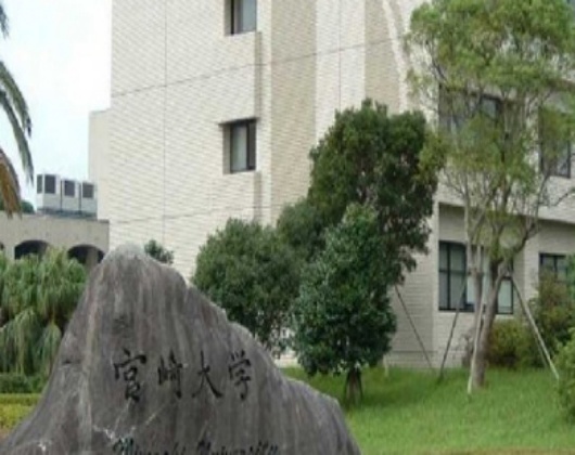 宫崎大学