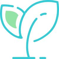 提升创造的生命状态