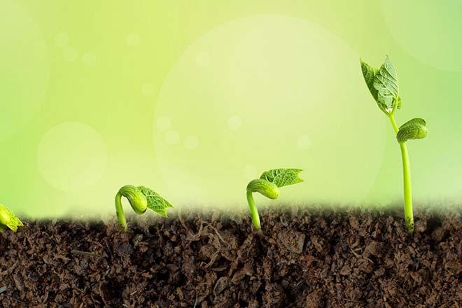 身心疗愈，生命资源重整