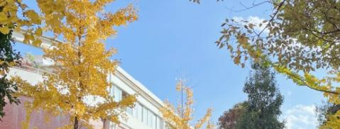 昆明亨德森高新一中