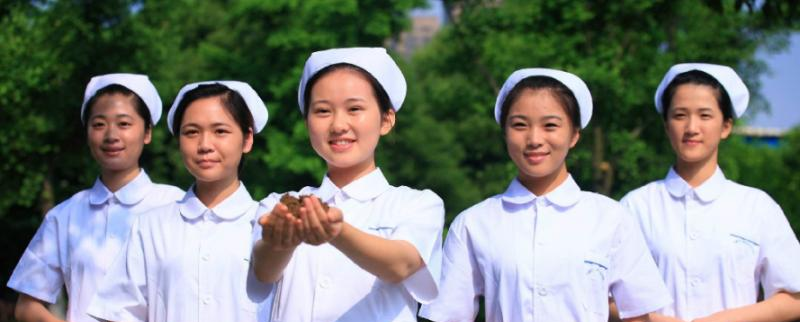 宁波卫生职业技术学院2020年有哪些专业