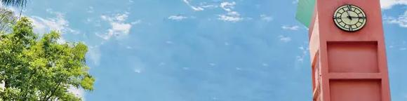  深圳博纳学校2023年课程体系