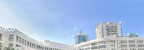 城市绿洲学校初中部2023年课程体系