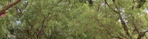 柳州汽车运输技工学校