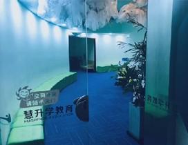 南京慧升学教育