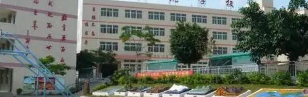 深圳石岩公学学校国际部小学2023年录取分数线