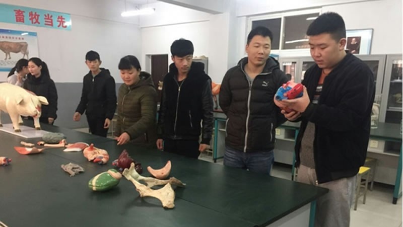 赵县综合职业技术教育中心