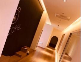 深圳科贝乐全脑早教