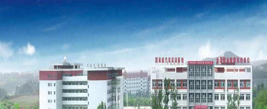 四川汽车职业技术学院地址在哪里