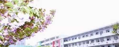 六安市艺术学校