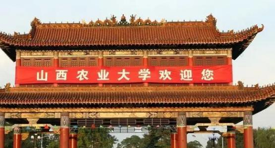 山西农业大学学校代码是10113(学校代码)