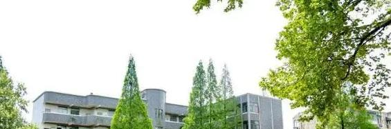 南京市第二十九中学地址在哪里，哪个地区，哪个城市