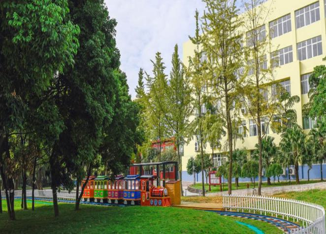 青苗国际双语学校成都校区