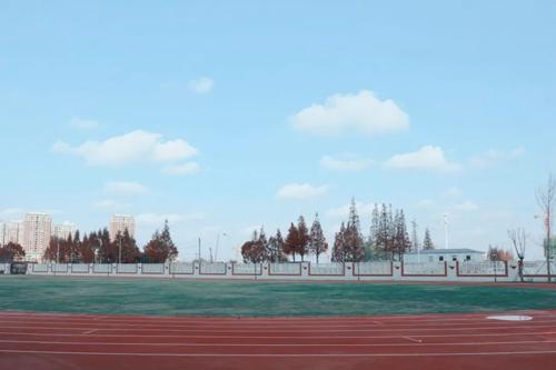 Louis镜头下的世界