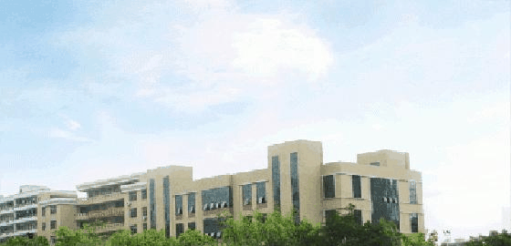 茂名职业技术学院2019年单招录取分数线