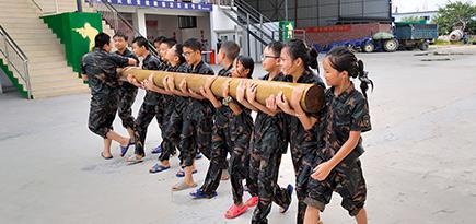 教学体系