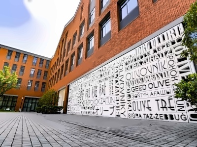 北京外国语大学附属杭州橄榄树学校小学课程