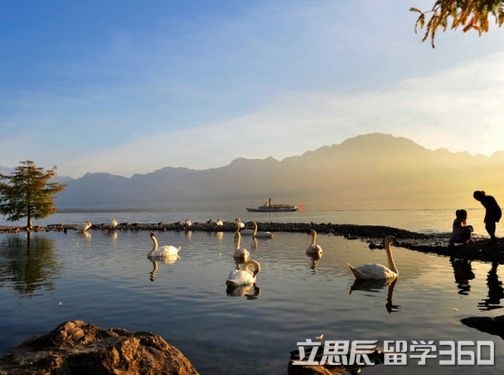 瑞士酒店管理大学