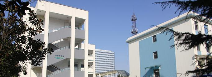 南京实验国际学校网站