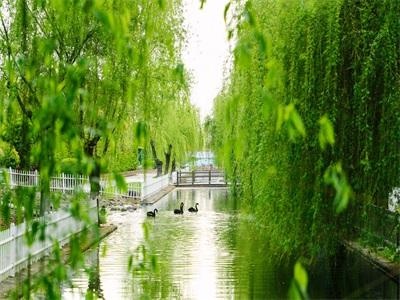上海天华英澳美国际学校（上海BANZ）